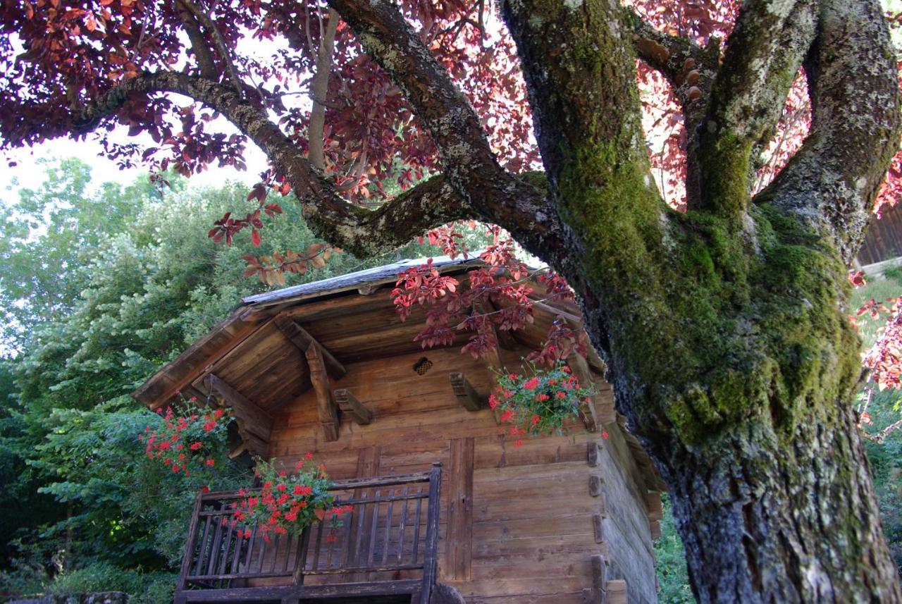 Appart Pointe De Nyon Morzine Centre 4 A 5 Pers Calme Jardin Vue Parking Exteriér fotografie